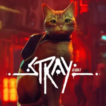Stray  | ال آی مدیا | بزرگترین مرجع دانلود فارسی ساز و زیرنویس فارسی بازی های کامپیوتری